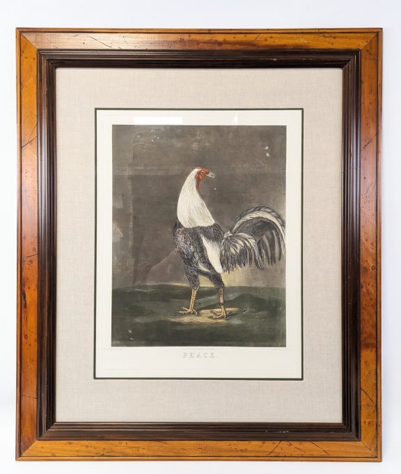 Benjamin Marshall Peace Fighting Cock Engraving (1 of 5)