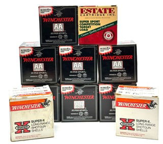 250 Winchester & Estate .28 Ga Shotgun Shells in Case