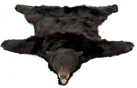Black Bear Full Size Taxidermy Rug