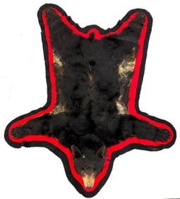 Black Bear Full Size Taxidermy Rug