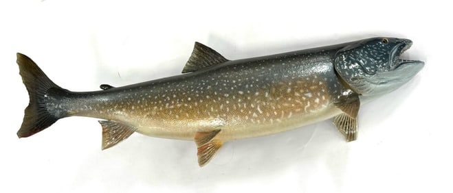 Lake Trout Taxidermy Wall Mount