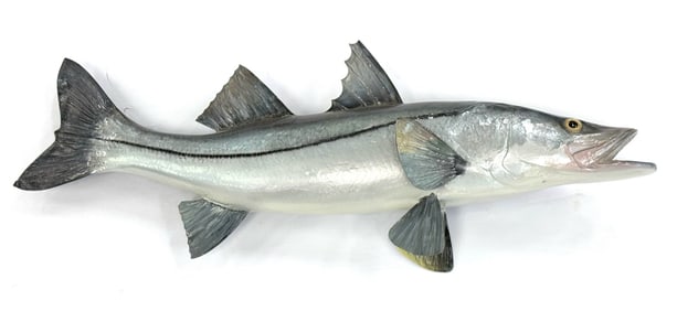 Fiberglass Snook Fish Full Wall Mount