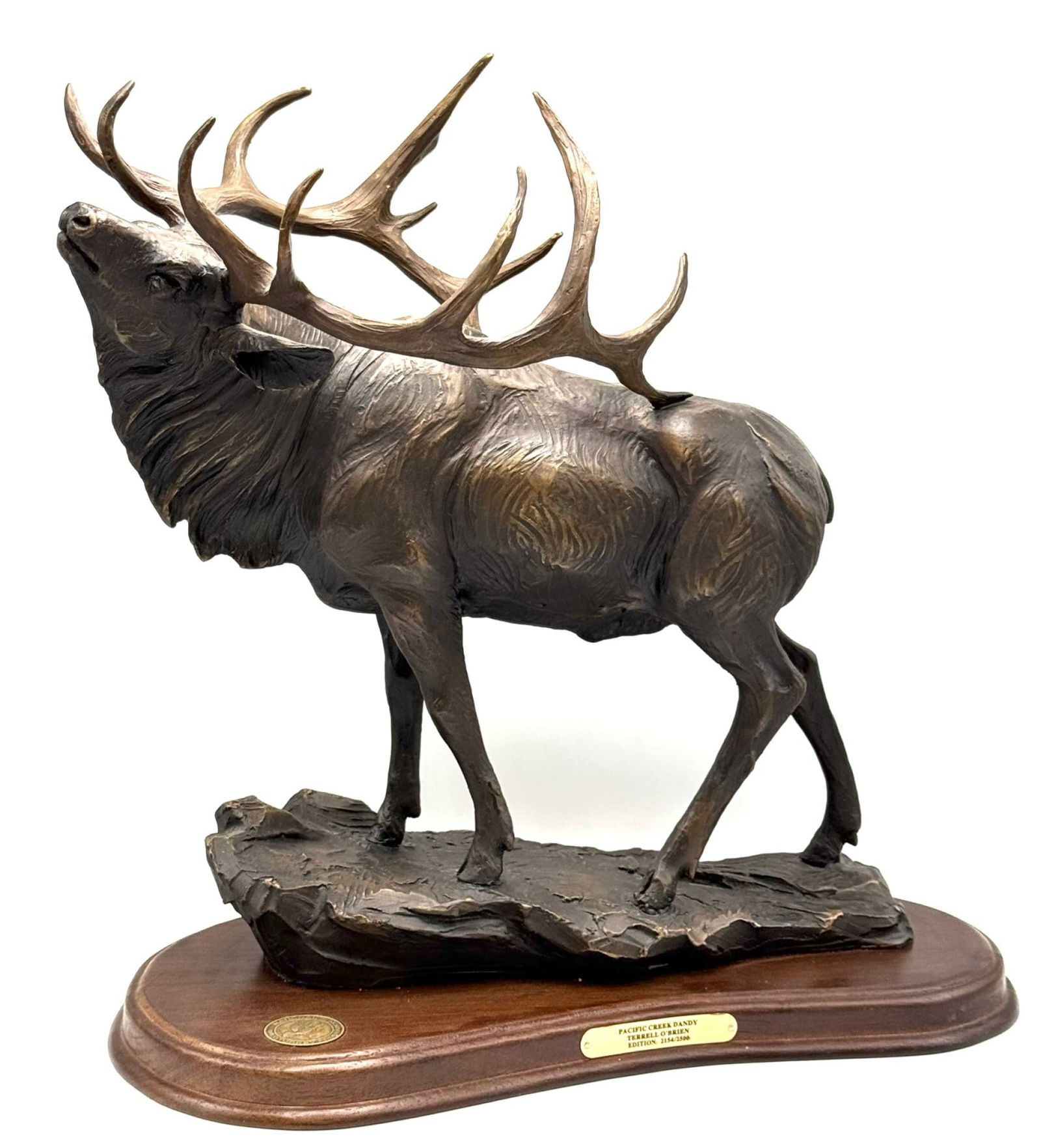 National Wild Turkey Federation Bronze Elk Statue Terrell O'Brien Pacific Creek Dandy: National Wild Turkey Federation Bronze Elk Statue Terrell O'Brien Pacific Creek Dandy. ?This beautiful handmade bronze statue depicts an elk in stunning detail, created by renowned artist Terrell O'Br