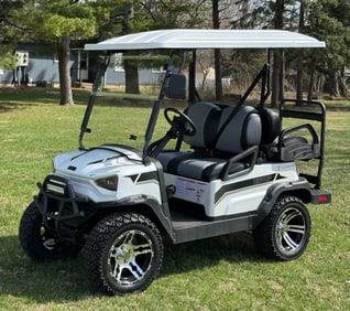 2023 TAO Champ 4-Seater Electric Golf Cart