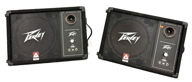 (2) Peavey 112M Passive Floor Monitor Speaker