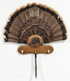 26in Turkey Fan Display w/ Talons & Beard on Plaque