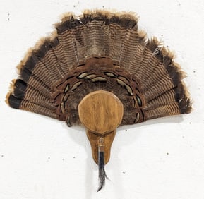 25in Turkey Fan Display w/ Beard on Plaque