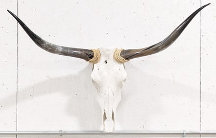 Steer Skull & Horn Mount