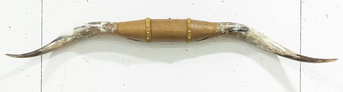 Steer Horn Wall Mount