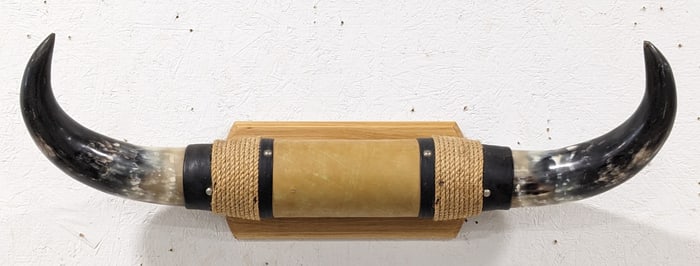 Steer Horn Mount on Plaque