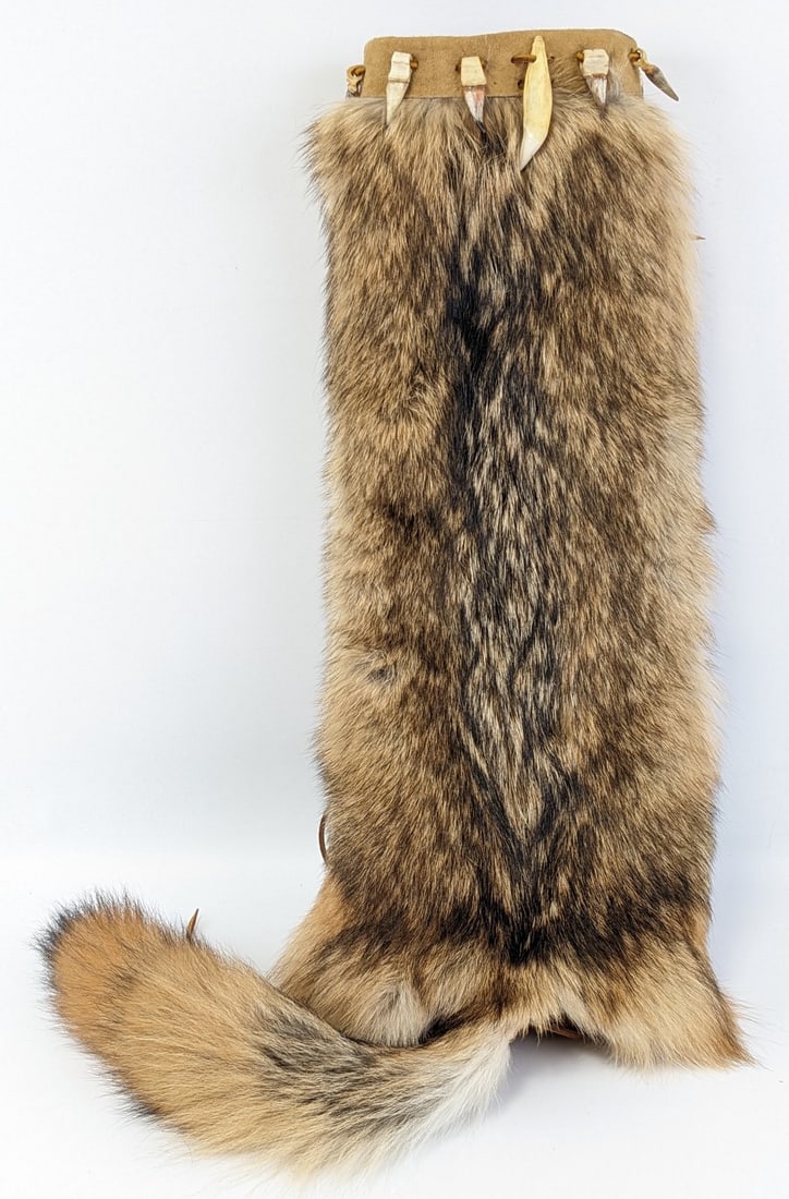 Custom Handmade Coyote Pelt Arrow Quiver: This quiver is in good condition. It is made with a fox pelt and features a tail, animal teeth tied along the top, and a leather strap. It has Native American influence. "Made by John Hale" is written