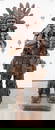 7ft Teak Wood Native American Chief Sculpture
