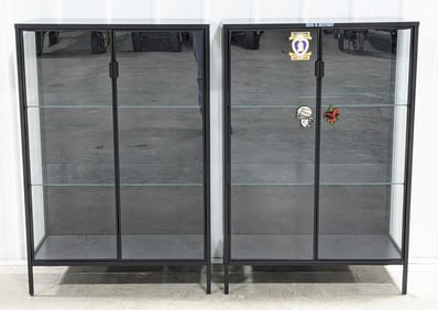 (2) Rectangular Glass Display Cases