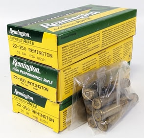 69 Rnd Remington .22-250 Rem 55gr PSP Cartridges