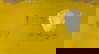 item-208308279=5