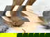 item-209108923=18