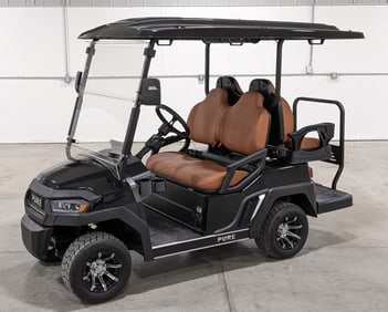 Pure Electric Golf Cart