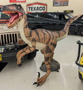 Life Size Velociraptor Dinosaur Resin Prop: Life size velociraptor resin dinosaur display prop. Appears to be in nice condition with some paint loss, small chip on the top of the tail, and wear from display and storage. Displays well with great