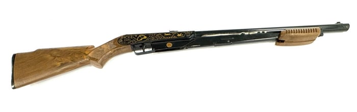 Daisy Model 25 BB Pump Rifle