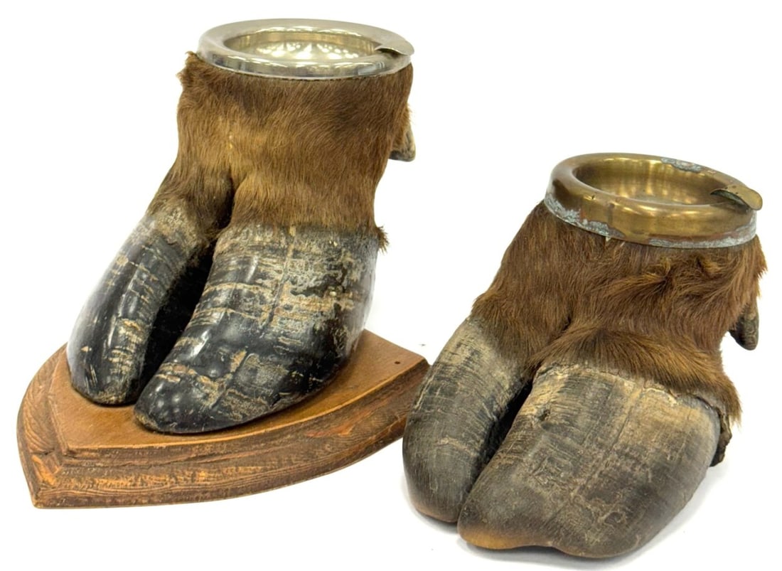 Vintage Taxidermy Cow Hoof Ashtrays: Vintage Taxidermy Cow Hoof Ashtrays.? The vintage cow hoof ashtrays are in very nice used condition.? One of the ashtrays is mounted on a wood plaque.? A very unique auction item.? The perfect mancave