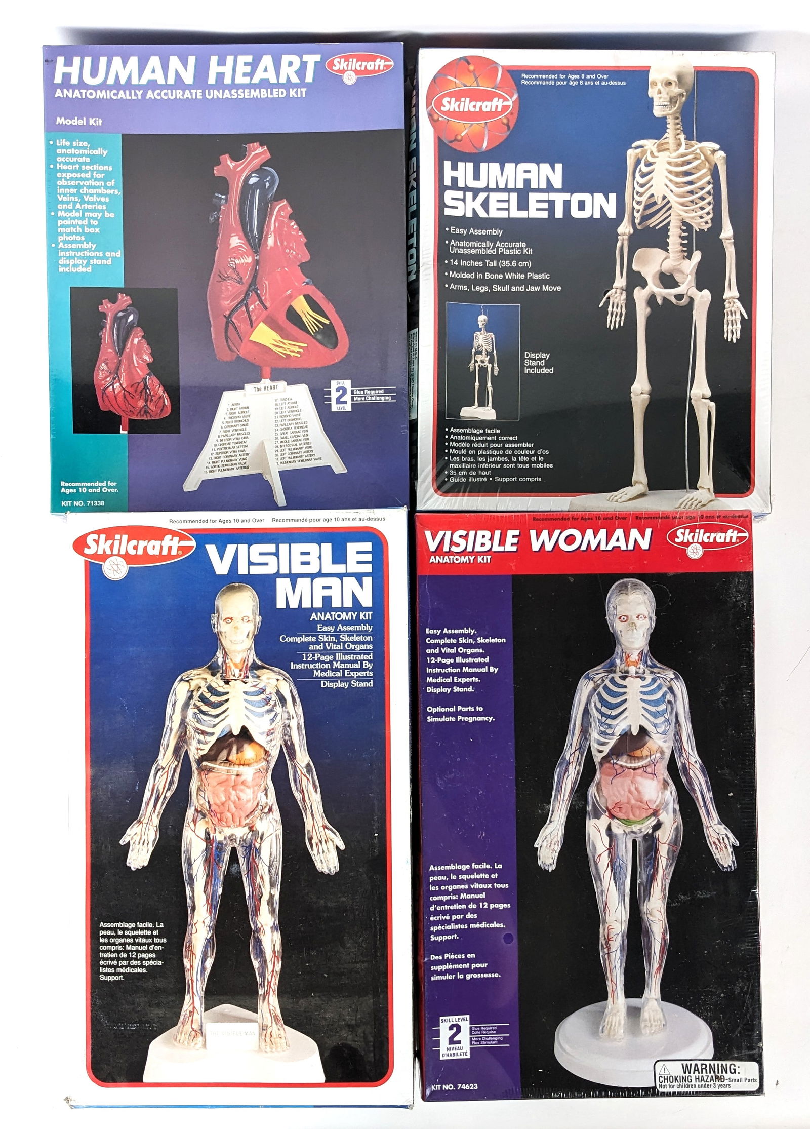 Skilcraft Visible Woman Anatomy Kit