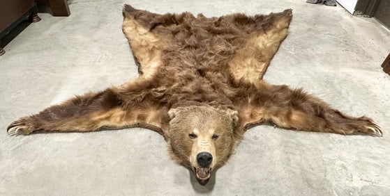 Full Body Grizzly Bear Rug