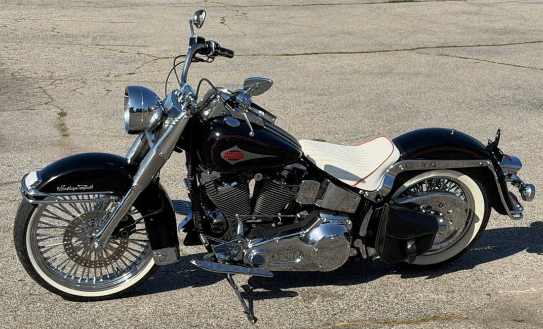 1999 Harley-Davidson Soft-Tail FLSTC Motorcycle (1 of 20)