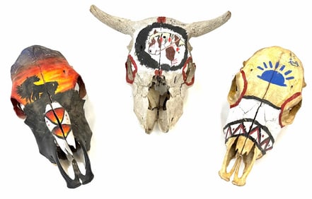 (3) Cow & Steer Painted Skull Taxidermy