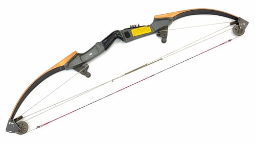 Bear Polar II Compound Bow