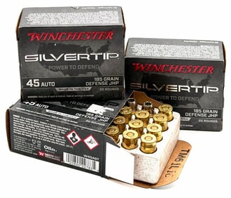 60 Rounds Winchester Silvertip 45 Auto Pistol Ammo NIB
