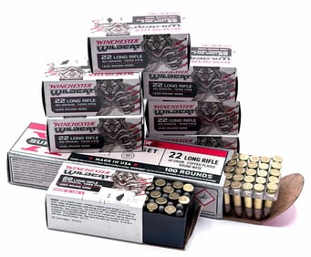 450 Rounds Winchester Wildcat & Winchester Super X 22 LF Pistol Ammo NIB