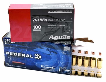 40 Rounds Federal & Aguila 243 WIN Rifle Ammo NIB