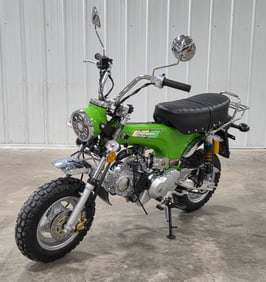 2025 Ice Bear Champion 125cc Mini Motorcycle