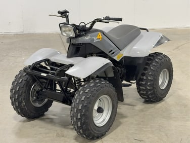 1989 Yamaha Moto-4 200