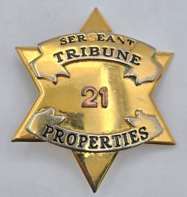 Obsolete Blackinton Tribune Properties Security Sergeant 5-Point Star Badge #21