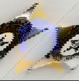 Obsolete Named Retired Chicago Police FOP Lodge No. 7 Presentation Star Badge