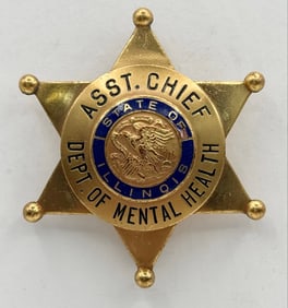 Obsolete C.H. Hanson Illinois Dept. Of Mental Health Asst. Chief Star Badge