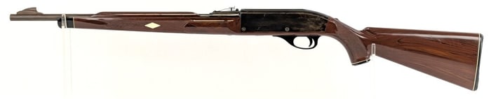 Remington Model 66 Nylon .22 LR Semi Auto Rifle