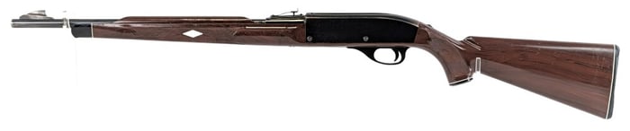 Remington Model 66 Nylon .22 LR Semi Auto Rifle
