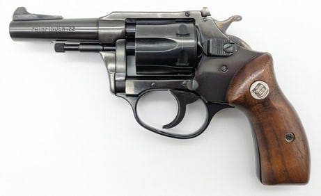 Charter Arms Pathfinder 6-Shot .22 LR Revolver