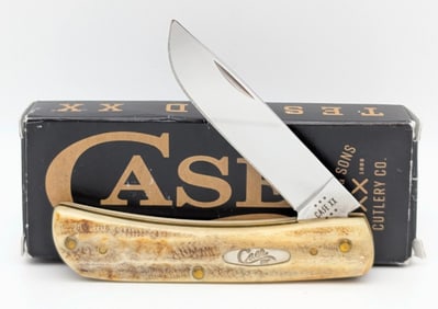 2024 Case XX Bone Stag Sod Buster Jr. 6.5137 w/ Box
