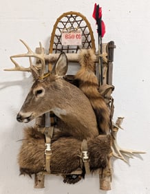 Hunters Pack Whitetail Deer Snow Show Taxidermy Display