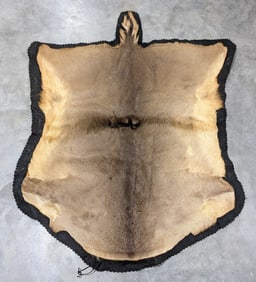 Hybrid Mule Deer / Whitetail Hide Rug on Mat