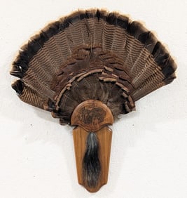 Turkey Fan & Beard Taxidermy Display on Plaque
