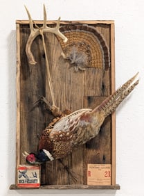 Ring Neck Pheasant Hunting Scene Taxidermy Display