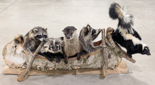 Noah's Ark Birch Bark Canoe Taxidermy Display