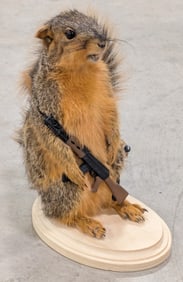 Armed Red Squirrel Full Body Taxidermy Mount