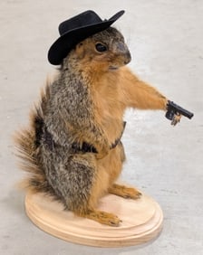 Sheriff Red Squirrel Full Body Taxidermy Mount
