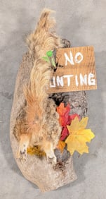 Squirrel in the Den No Hunting Taxidermy Display