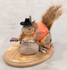 Hunting Fox Squirrel Full Body Taxidermy on base